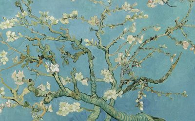 Il Cammino delle comunità: carisma, persone, strutture